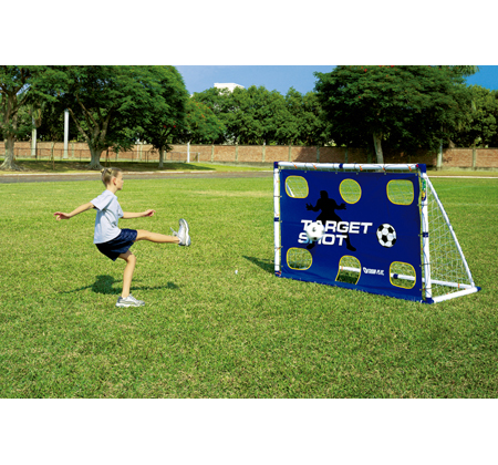 6ft Goal post and net
